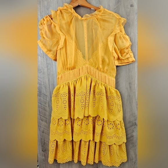 Self-Portrait NWOT Embroidered Chiffon Tiered Mini Dress In Gold Yellow Size 4 - Picture 11 of 16